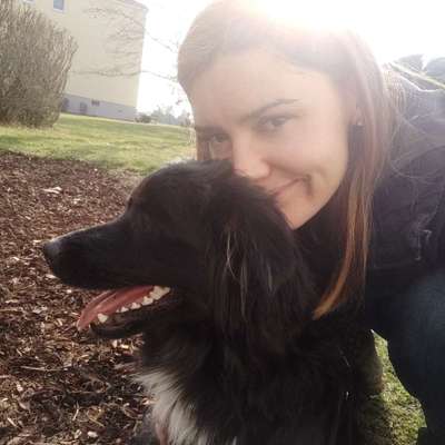 Hundetreffen-Spieltreffen