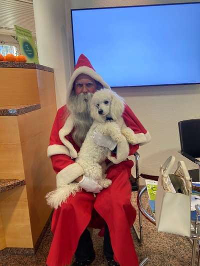 11. Farben Foto Challenge Rot-Beitrag-Bild