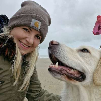 Hundetreffen-Gassi gehen