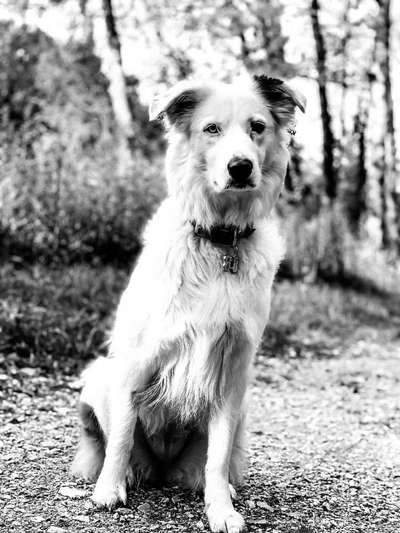 3. Farben/Fotochallenge: Schwarz/Weiß-Beitrag-Bild