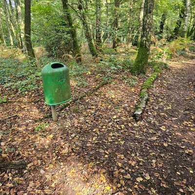 Giftköder-Rehbein im Mülleimer-Bild