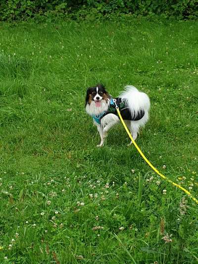 Pullis, Jacken, Hütte und alles sonstiges-Beitrag-Bild