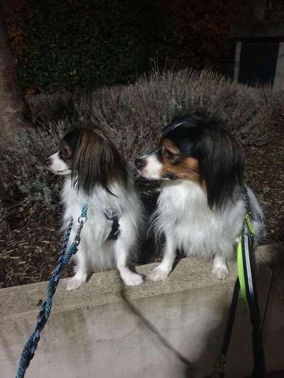 Foto Challenge Nr.: 115-Beitrag-Bild