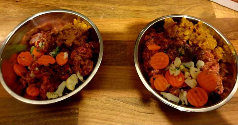 Welches Futter nehmt ihr?-Beitrag-Bild