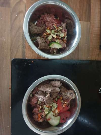 Zeigt her Eure Futternäpfe-Beitrag-Bild