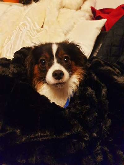 Lieblingsbild-Beitrag-Bild