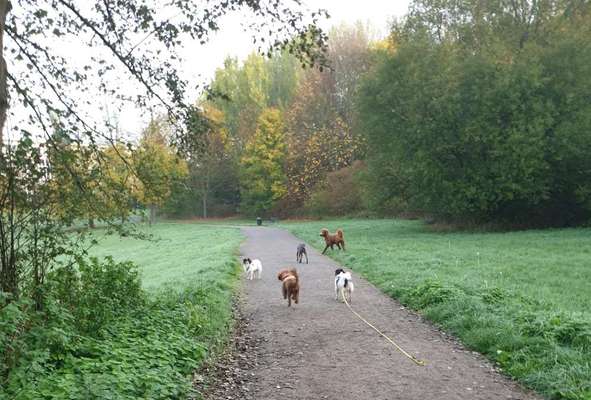 Ungefragtes Streicheln-Beitrag-Bild