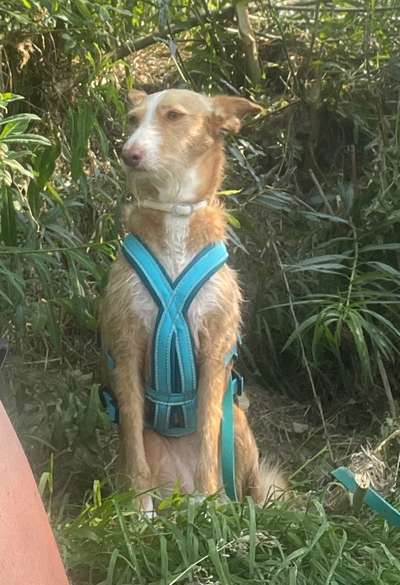 19. Farben  Fottochallenge :
Lieblingsfarbe-Beitrag-Bild