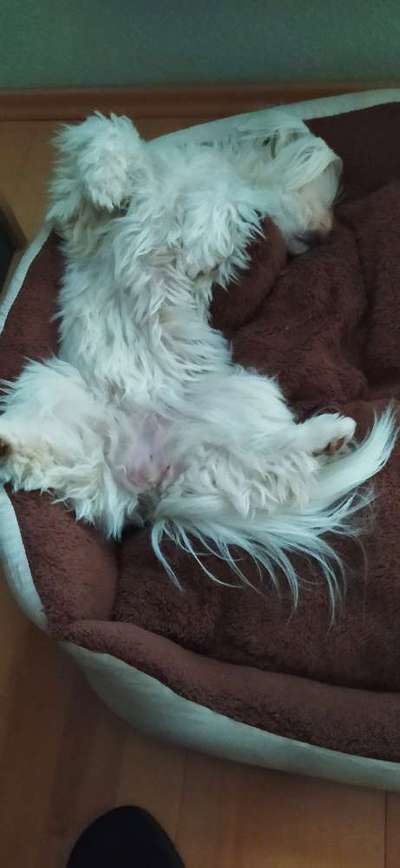 Die unbequemsten und lustigsten Schlafpositionen-Beitrag-Bild