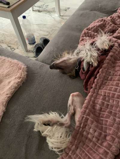 Die unbequemsten und lustigsten Schlafpositionen-Beitrag-Bild