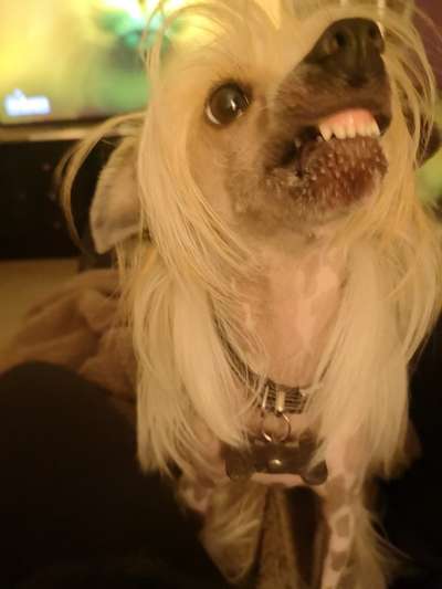 Her mit dem Grimassen-Beitrag-Bild