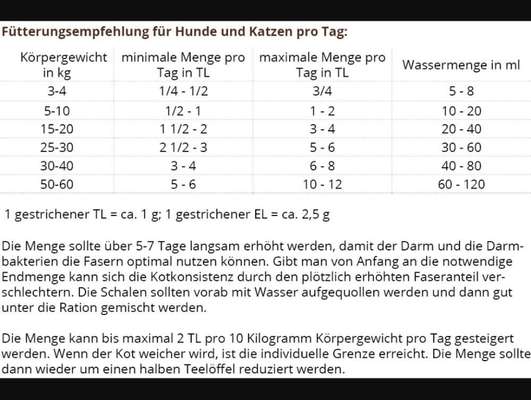 Regelmäßige Analbeutelentleerung-Beitrag-Bild