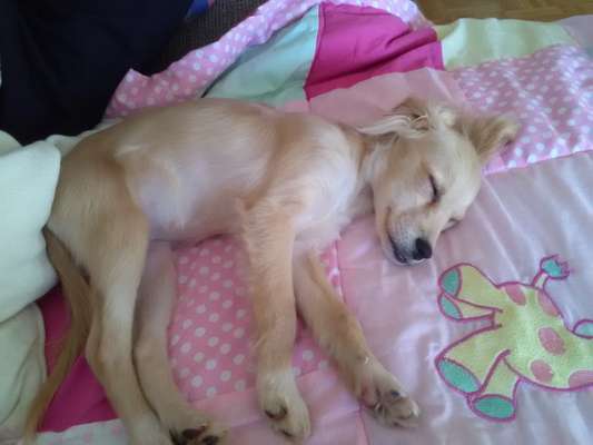 Fotochallange Nummer 5-Beitrag-Bild