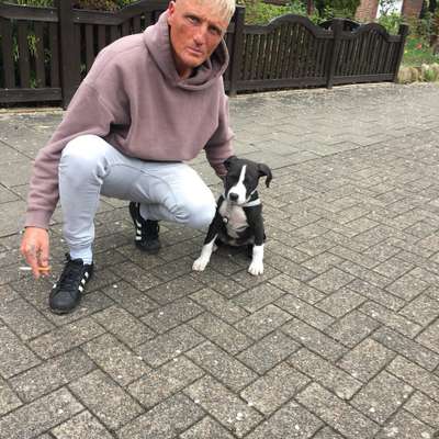 Hundetreffen-Spieltreff-Bild