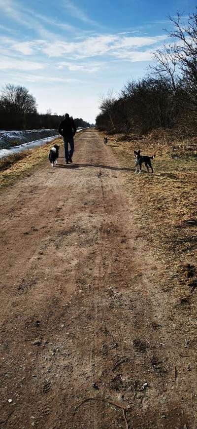 Hundeauslaufgebiet-Moor zwischen Moordorf und Tannenhausen-Bild