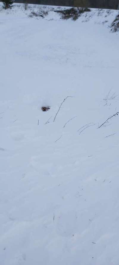 Challenge 21 - wo bin ich : )-Beitrag-Bild