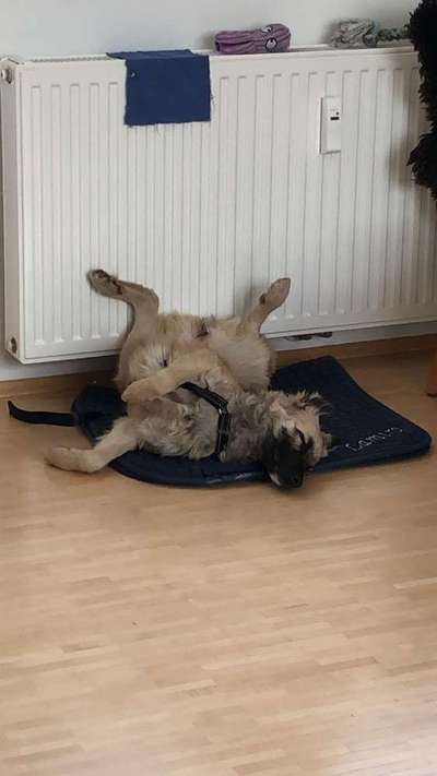 Die unbequemsten und lustigsten Schlafpositionen-Beitrag-Bild