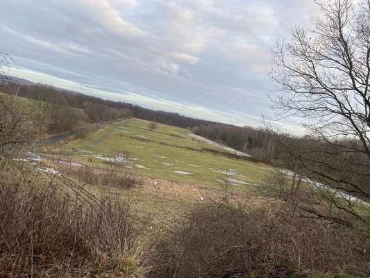 Hundeauslaufgebiet-Altes Truppen Gelände-Bild