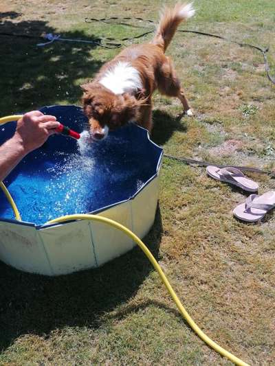 Theos Fotochallange Nummer 4-Beitrag-Bild