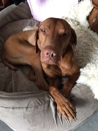 Fotochallange Nr. 6 Die irrsten Blicke-Beitrag-Bild