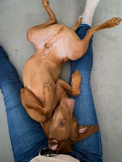 Foto Challenge - Zeigt her eure Bäuche-Beitrag-Bild