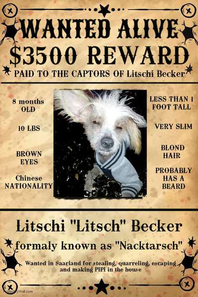 22. Kurzgeschichten Challenge: Crime-Beitrag-Bild