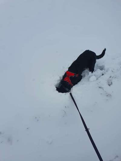 Challenge Nr. 15
Spiel im Schnee-Beitrag-Bild