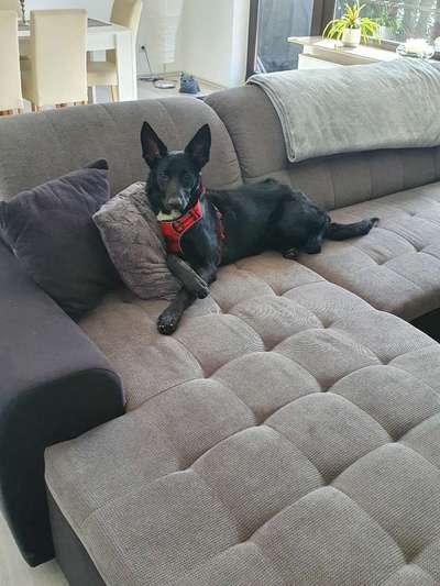 Lieblingsbild :D-Beitrag-Bild