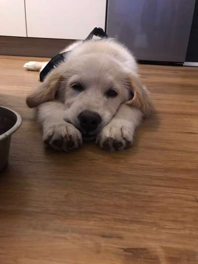 Foto Challenge 3-Beitrag-Bild