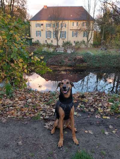 Dogorama-Monats-Challenge-Mai "Wasser"-Beitrag-Bild