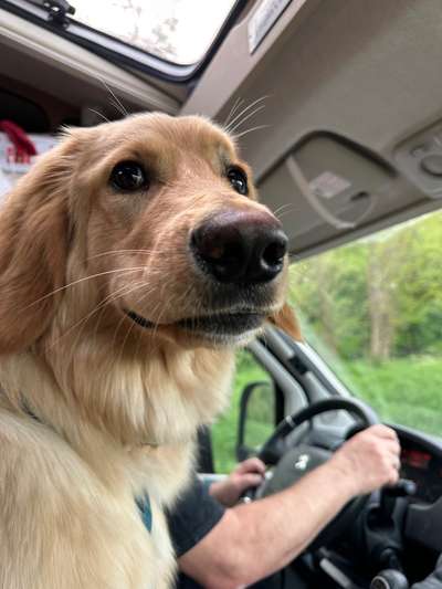 12. Farben Foto Challenge --- Braun-Beitrag-Bild