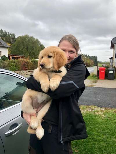 Welpen Bilder !-Beitrag-Bild