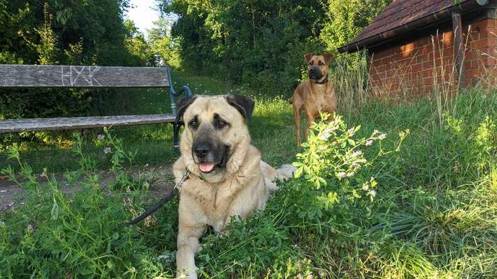 Lieblingsbild-Beitrag-Bild