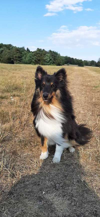 Doppelgänger gesucht !-Beitrag-Bild