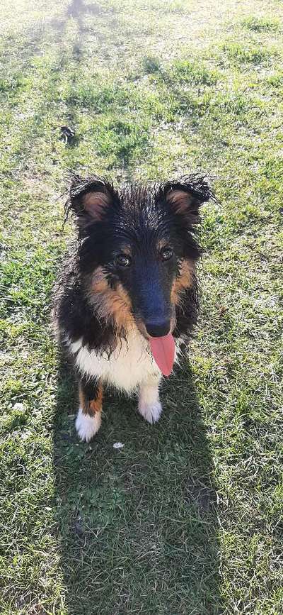 Handy-foto Challange nr. 11-Beitrag-Bild