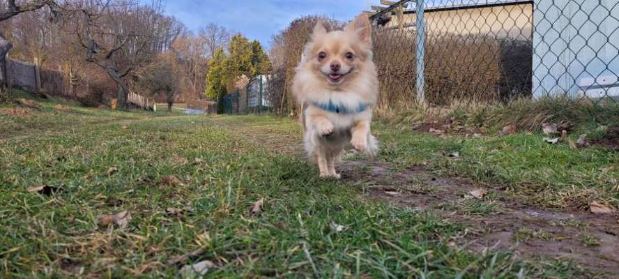 Fotochallenge Nr.122-Beitrag-Bild