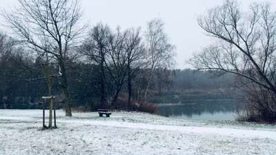 Hundeauslaufgebiet-Waldsee-Bild