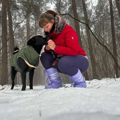 Hundetreffen-Gassikumpel :)-Bild