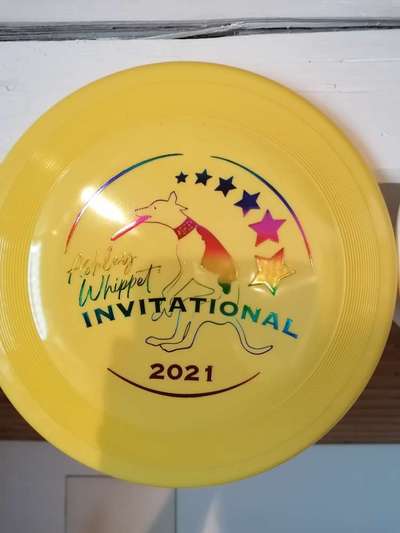 DogFrisbee-Beitrag-Bild