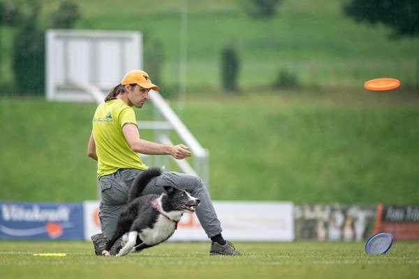 DogFrisbee-Beitrag-Bild