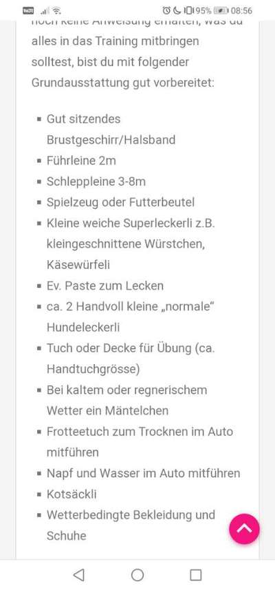 Hundeschule-Beitrag-Bild