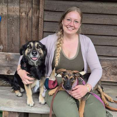 Hundetreffen-Begegnungstraining