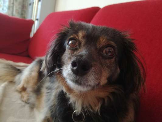 Fotochallange Nr. 57     PORTRÄT.   Beendet!!!!!!!!-Beitrag-Bild