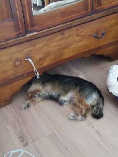 Schlafzeit!💖-Beitrag-Bild