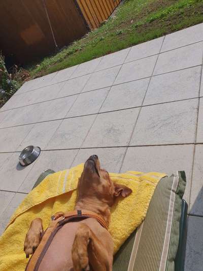 Die unbequemsten und lustigsten Schlafpositionen-Beitrag-Bild