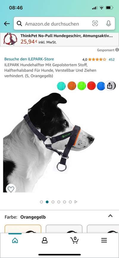 Hundehalfter-Beitrag-Bild