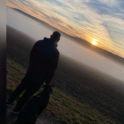 Hundetreffen-Sozialisierung und Gassirunde-Profilbild