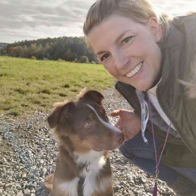 Hundetreffen-Gassi und Trainingsrunde in Weil der Stadt Umgebung-Profilbild