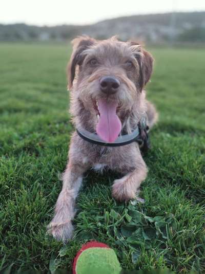 Fotochallenge Nr.89 - Charakter und Wesen-Beitrag-Bild