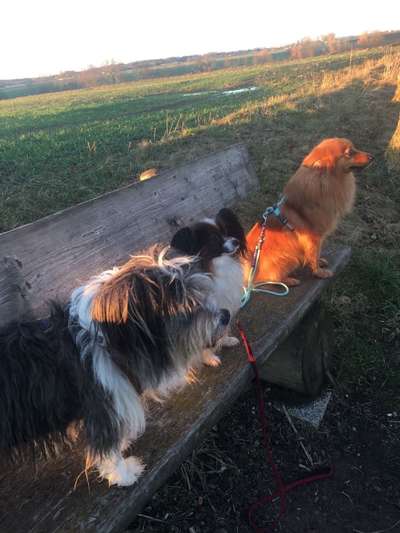 Fotochallenge 69-Beitrag-Bild